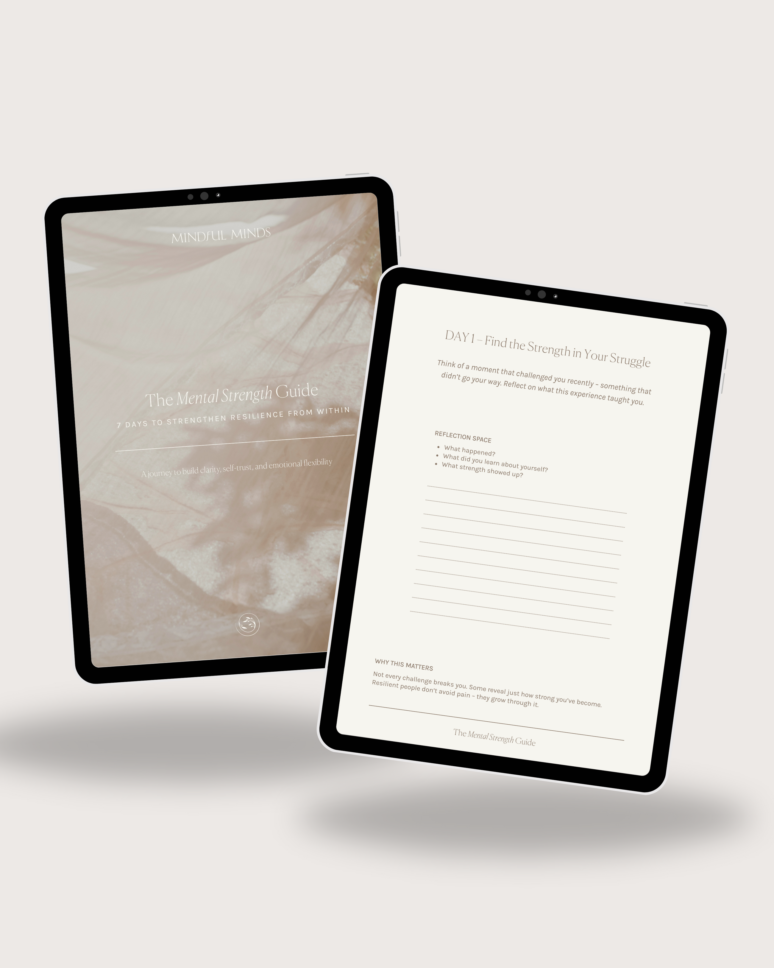 The Mental Strength Guide