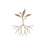 Growth, personal growth, plant growing