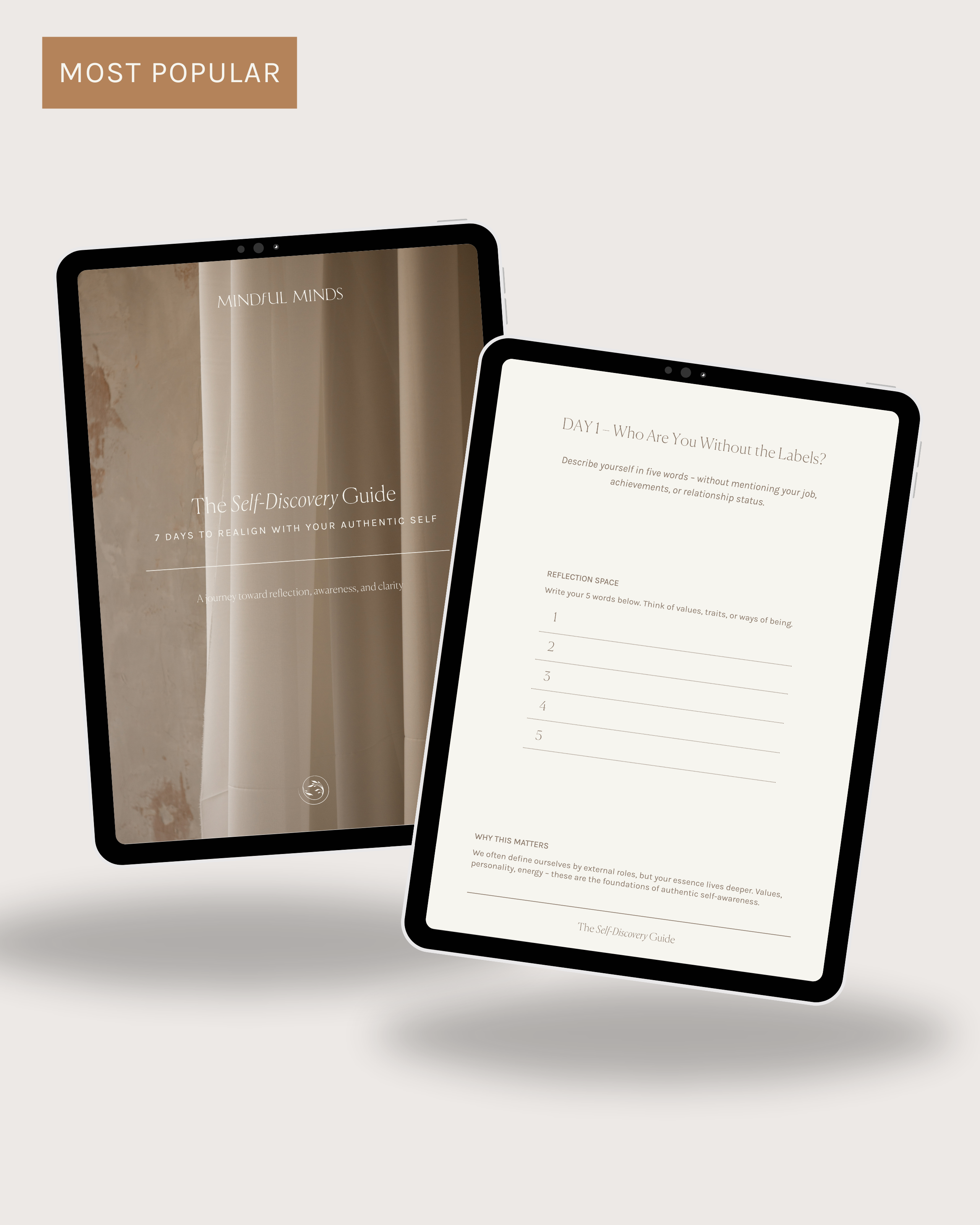 The Self-Discovery Guide